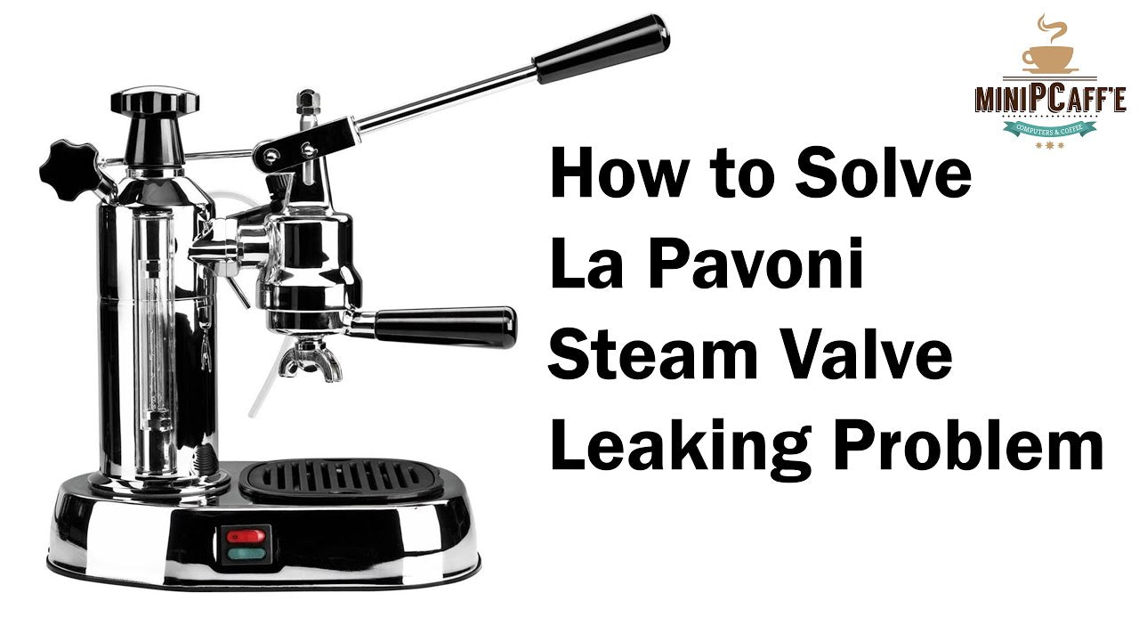 la pavoni leaking water